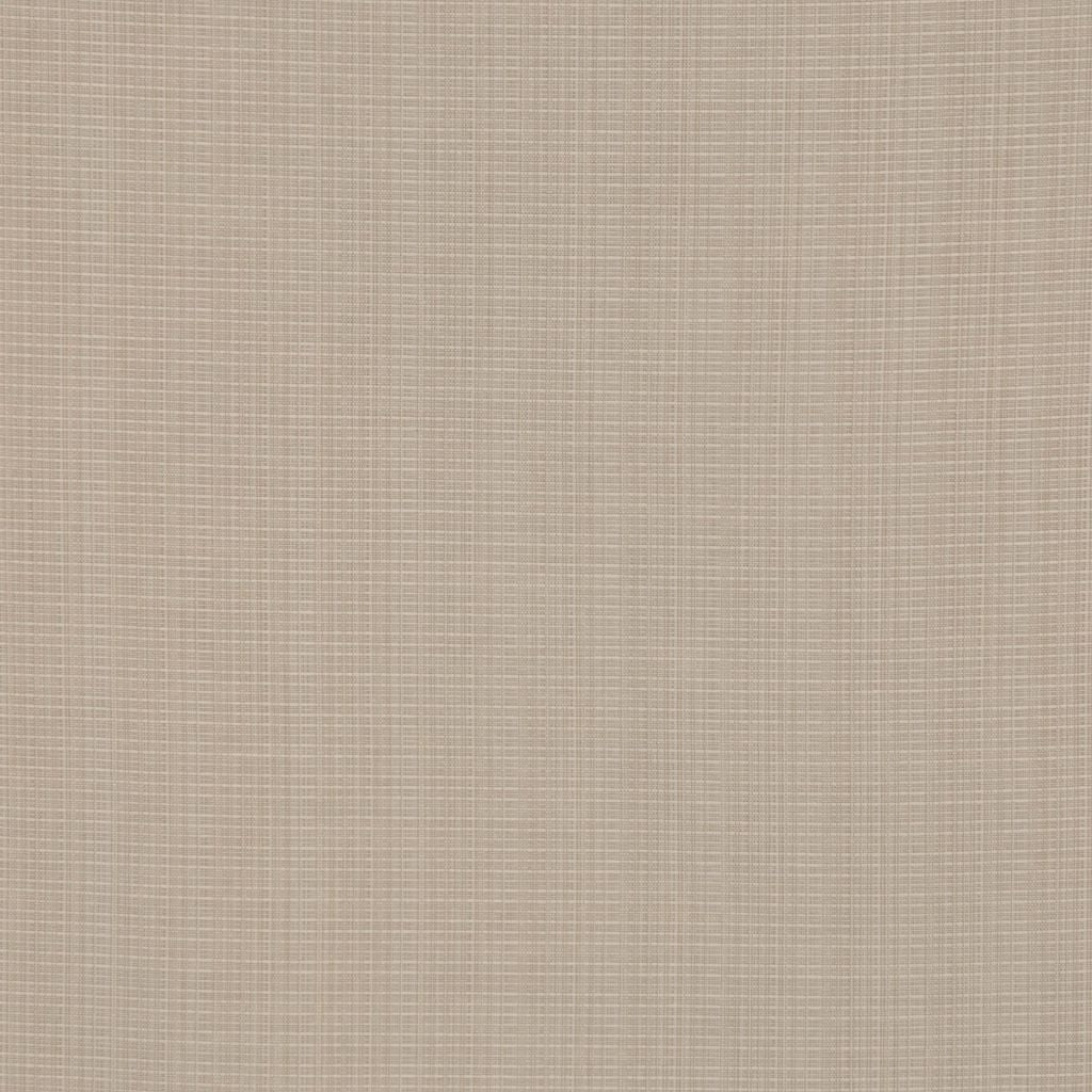 CITIZEN – LATTE - RM Coco Fabric