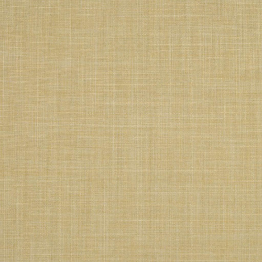 GOSSIP – EUCALYPTUS