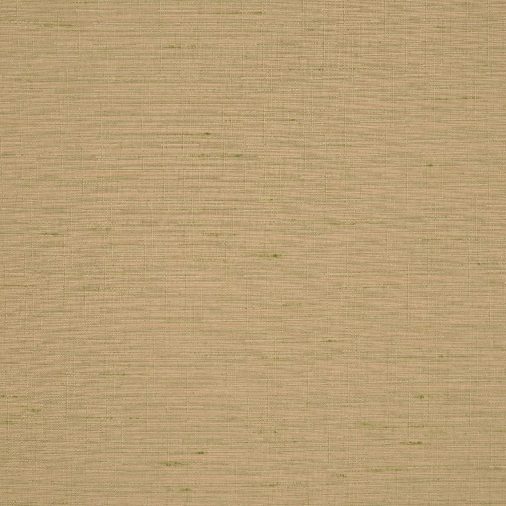 RAPTURE – OLIVE