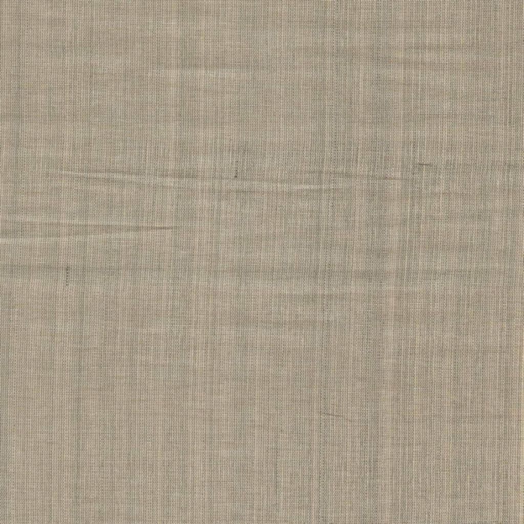 ILLUSTROUS – ALMOND