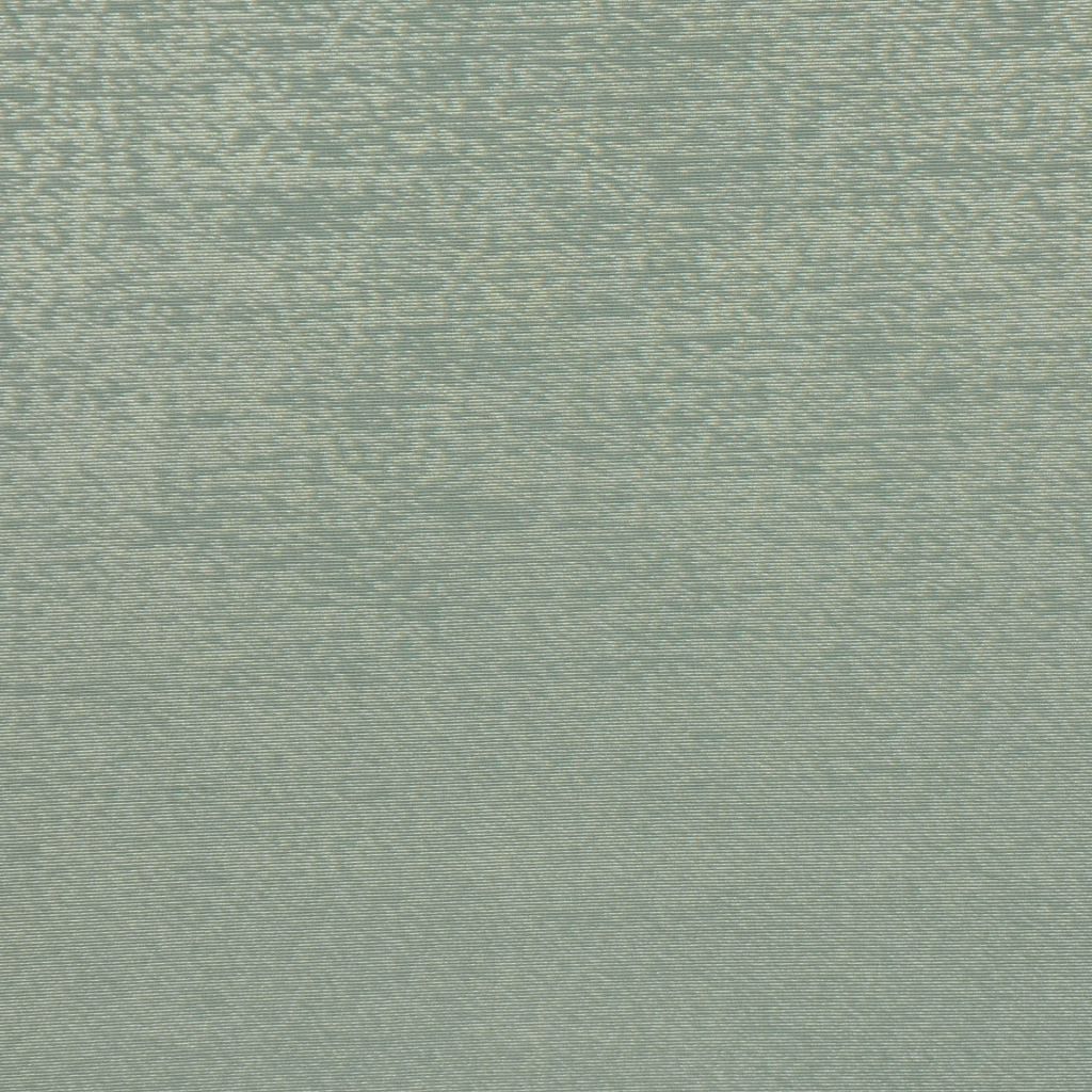 LUMINARY – DRAGONFLY - RM Coco Fabric