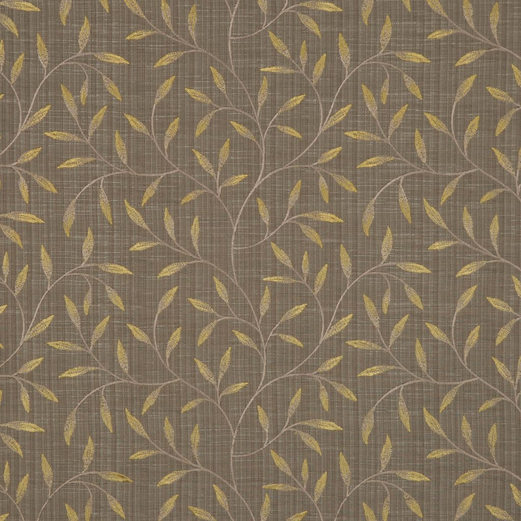 BOONE – FOLIAGE