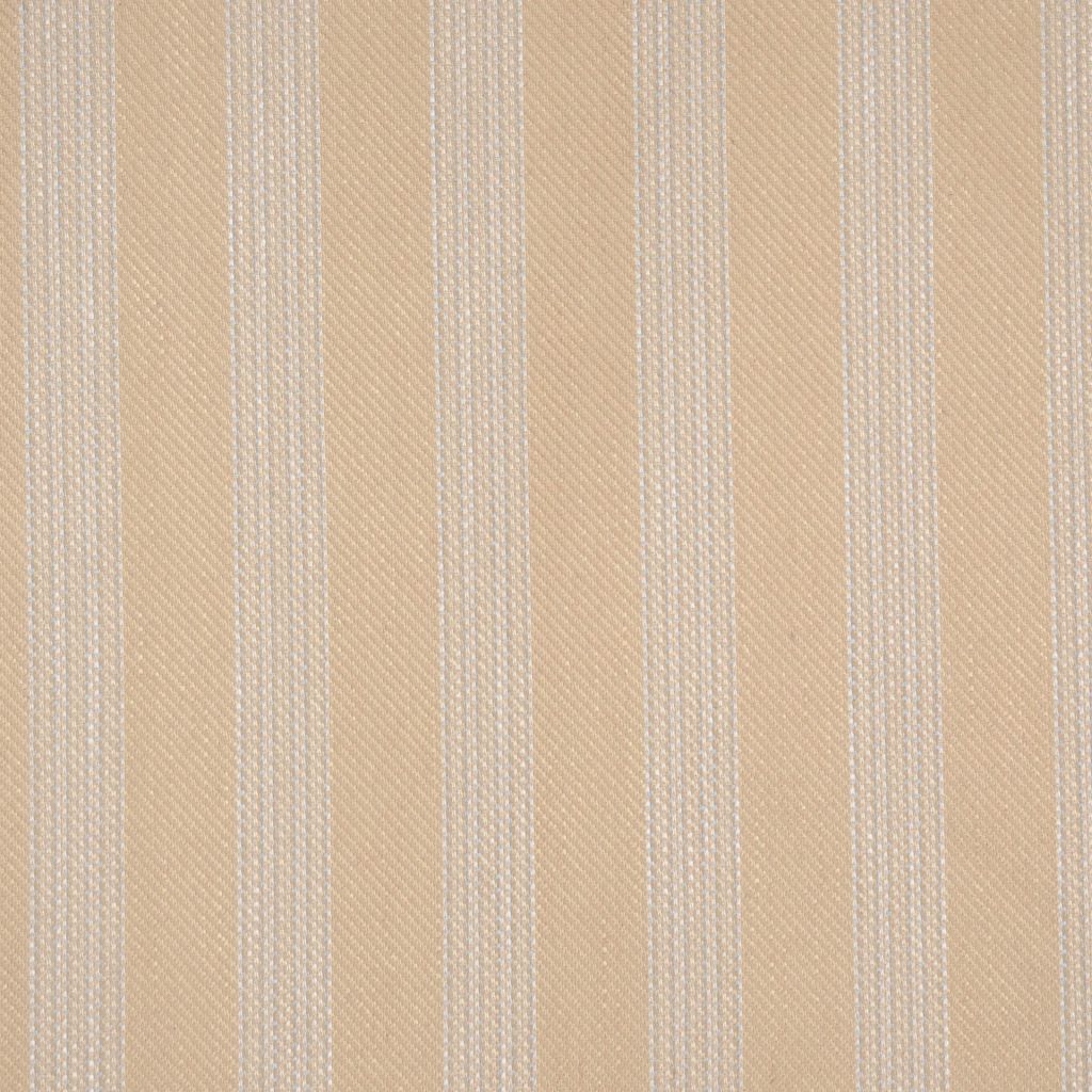 STEPPE β WHEAT