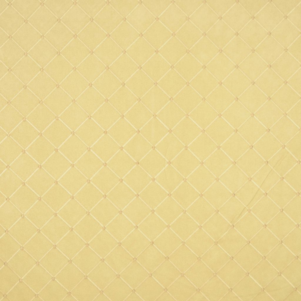 VISIONS – APPLE - RM Coco Fabric