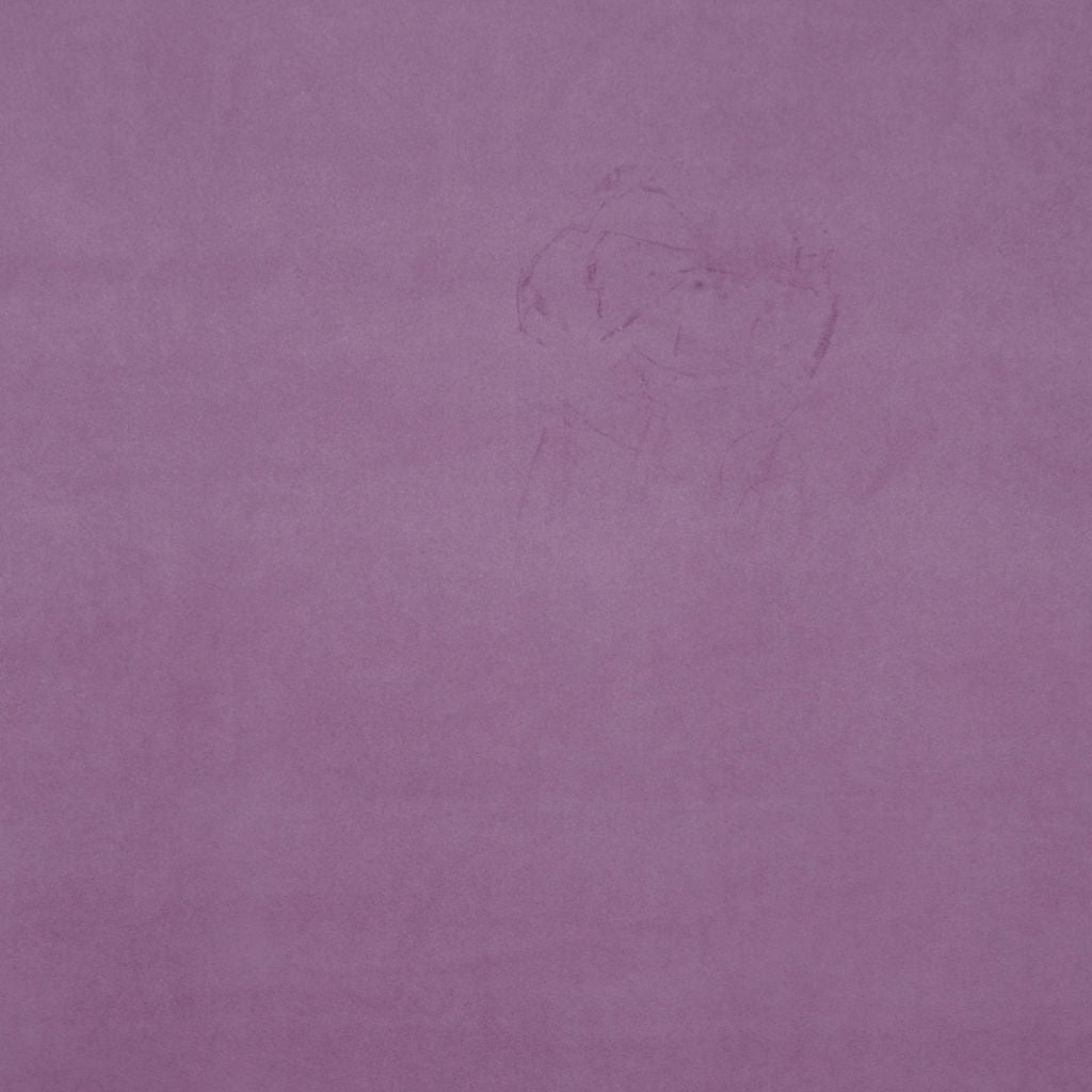 WINKS – IRIS