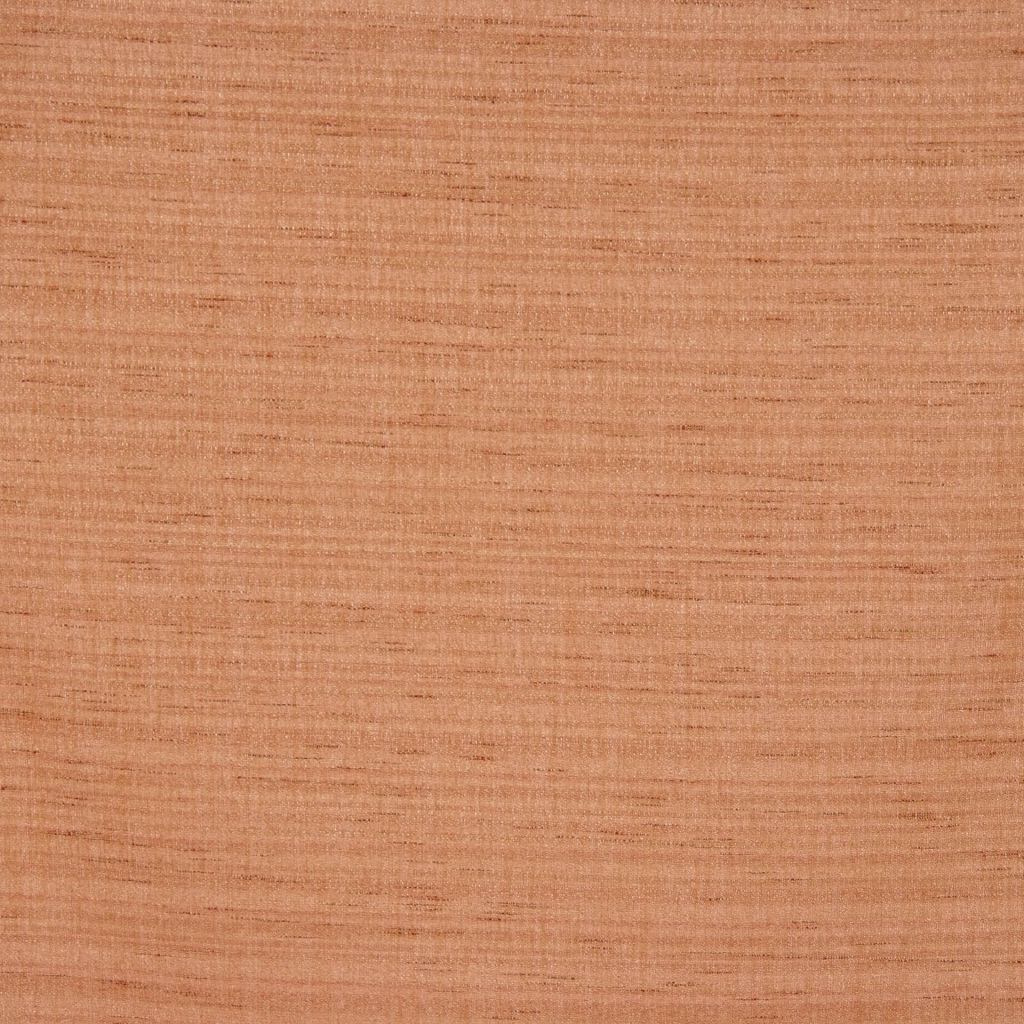 EVER – GINGER