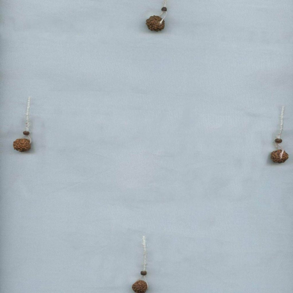 GONE TO SEED – NATURAL WHITE