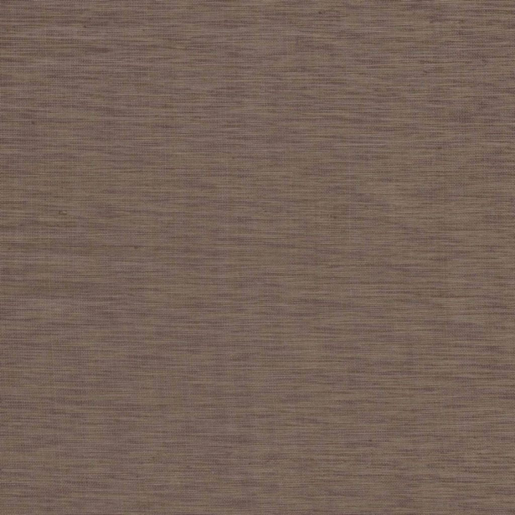 ILLUSTROUS – CHOCOLATE