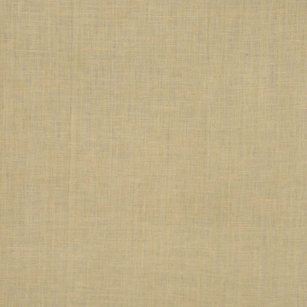 INSIGHT – GOLD