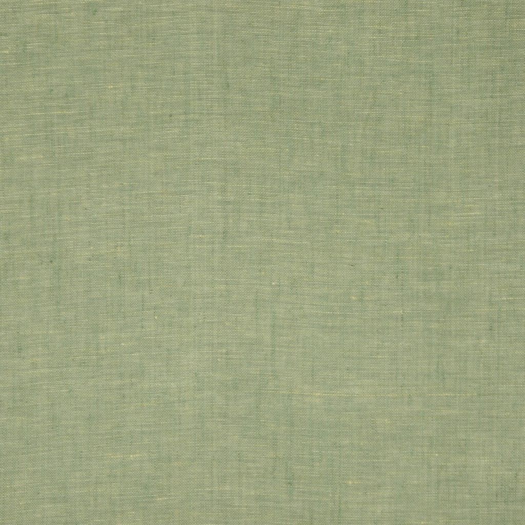 INSIGHT – GRASS