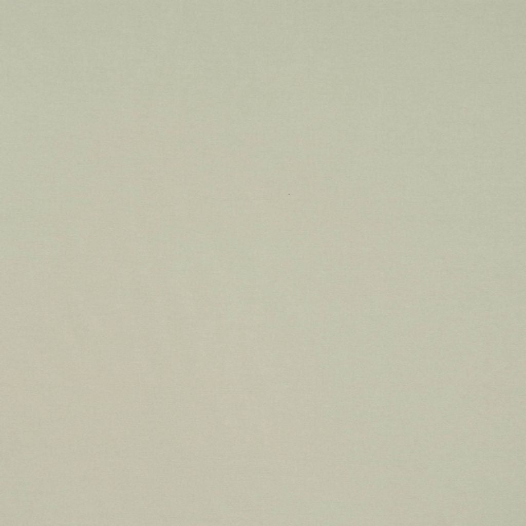 RAPHAEL – VAPOR - RM Coco Fabric
