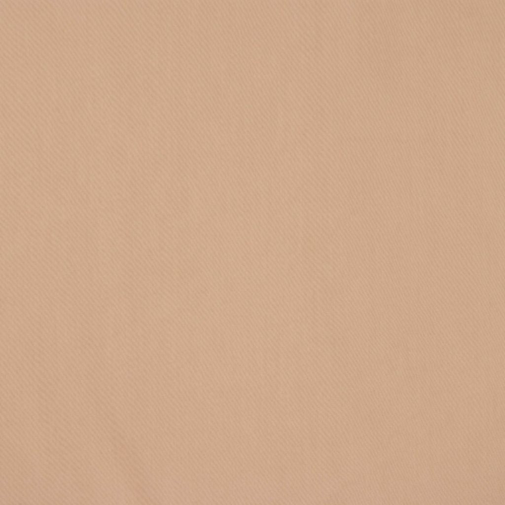 STEPPENWOLF – AZTEC - RM Coco Fabric
