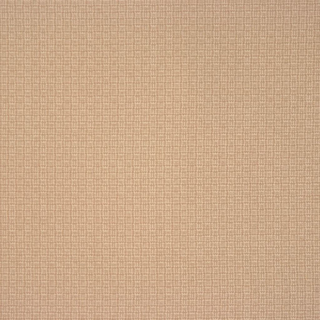 COE – TAUPE