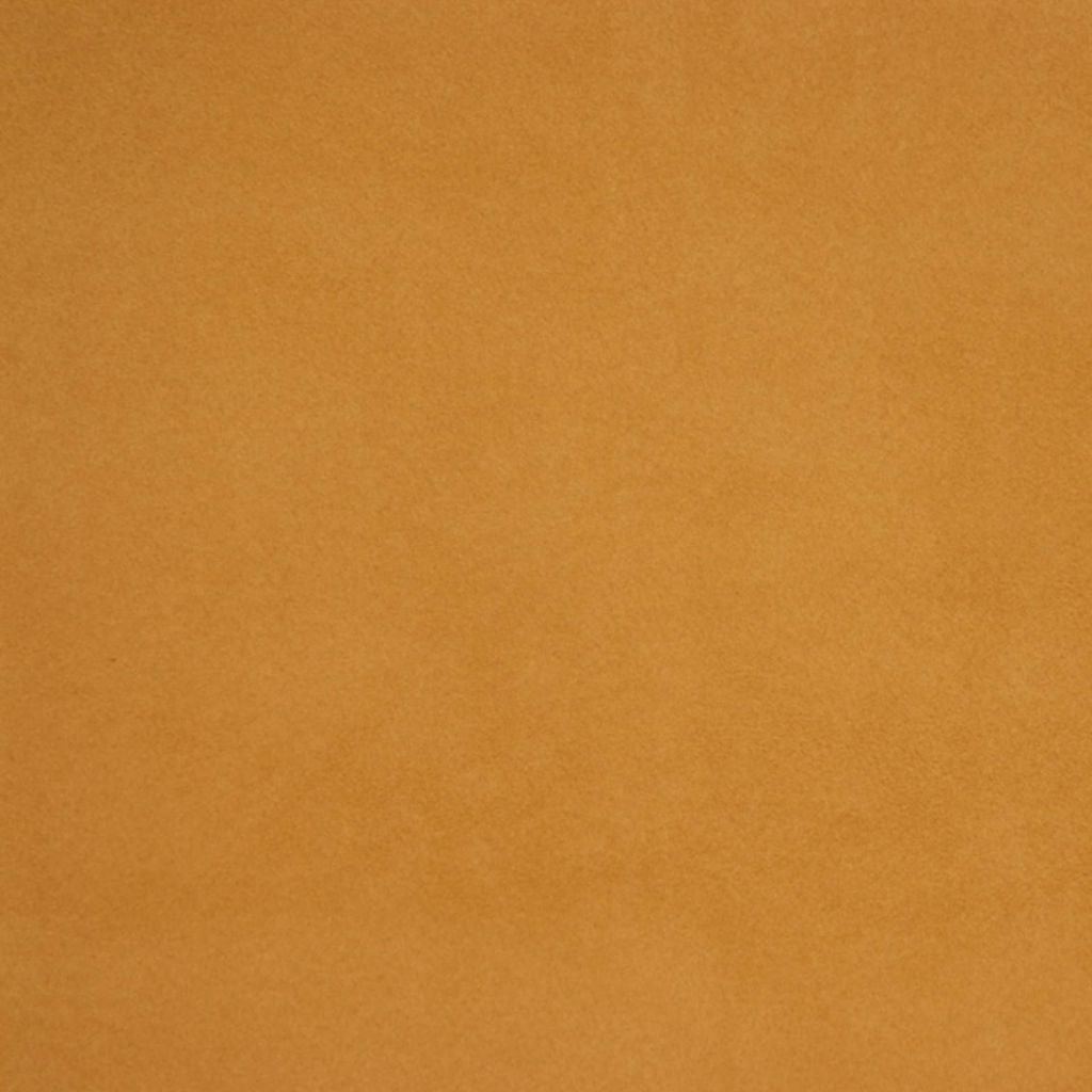 WINKS – CAMEL