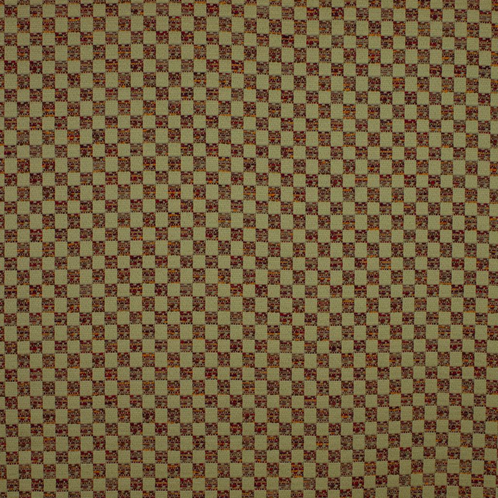TIGRESS – SALSA