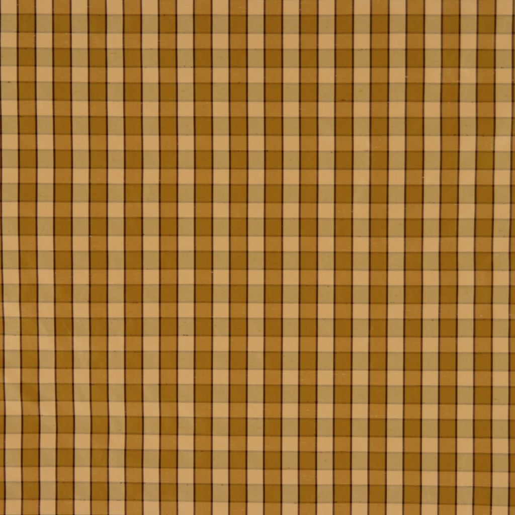 MAURY – OLIVE