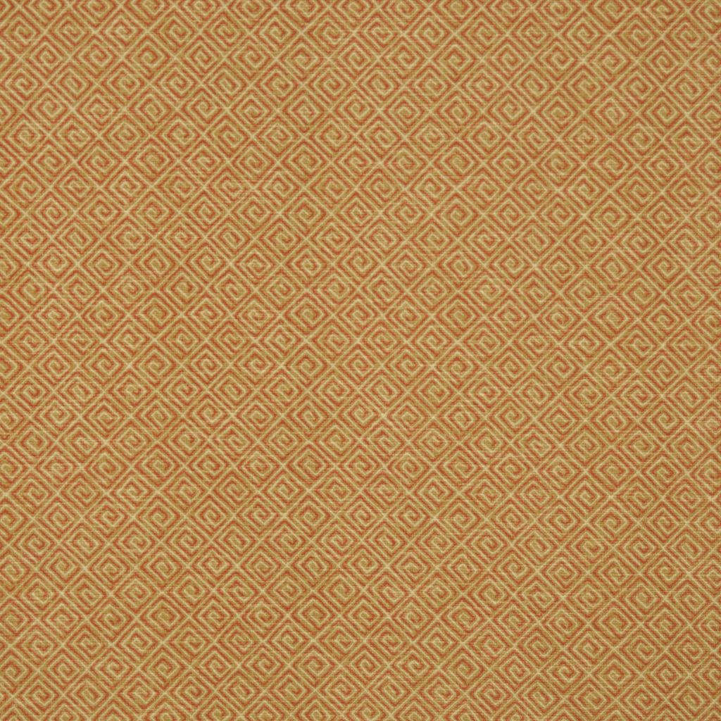 SWISS â CAMEL