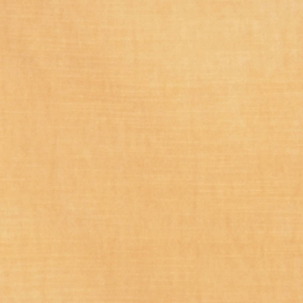 WEISS â TUSK - RM Coco Fabric