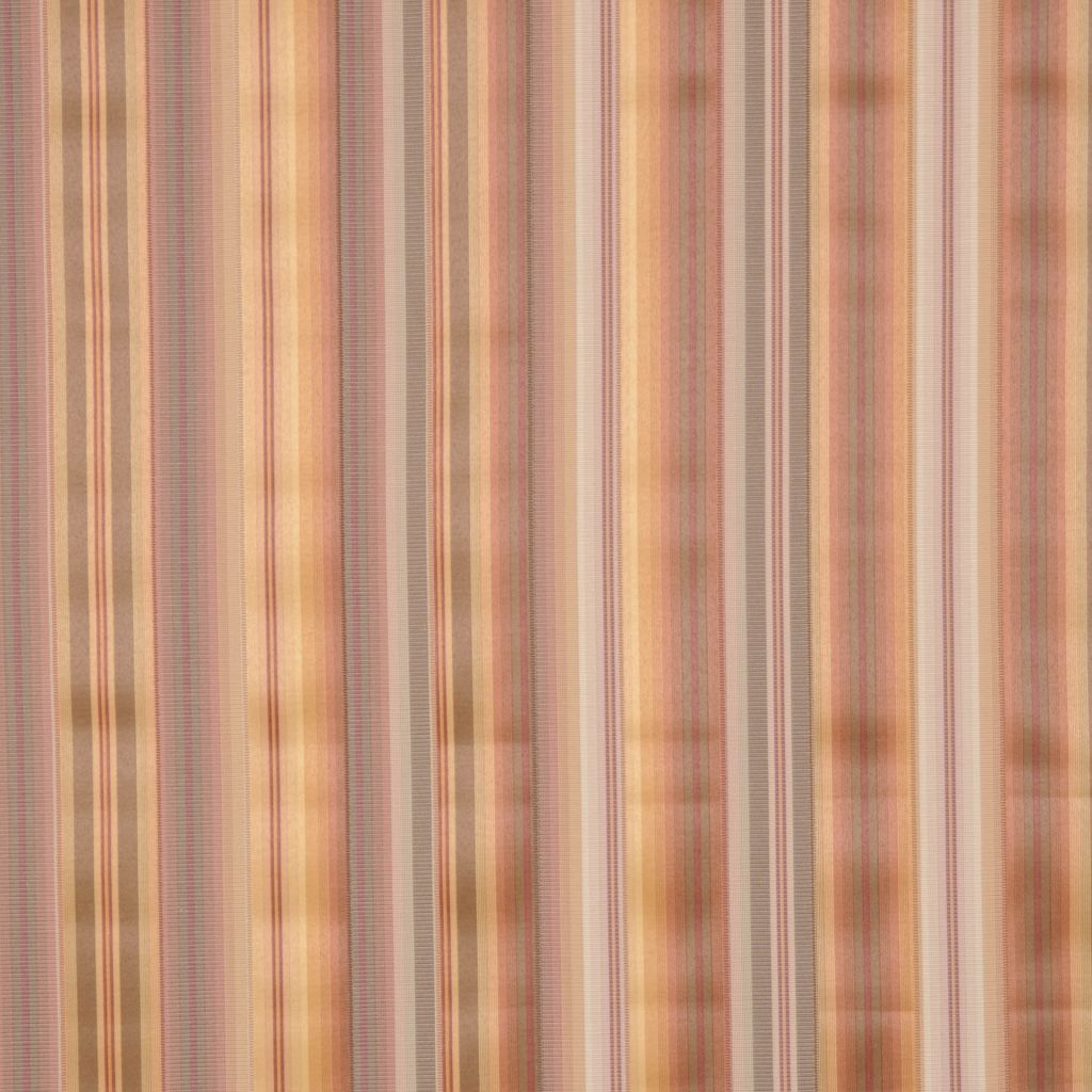 SHREK – CEDAR