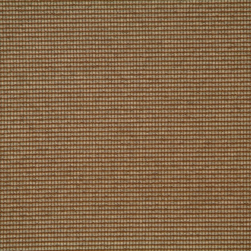 W083108 – 5099 - RM Coco Fabric