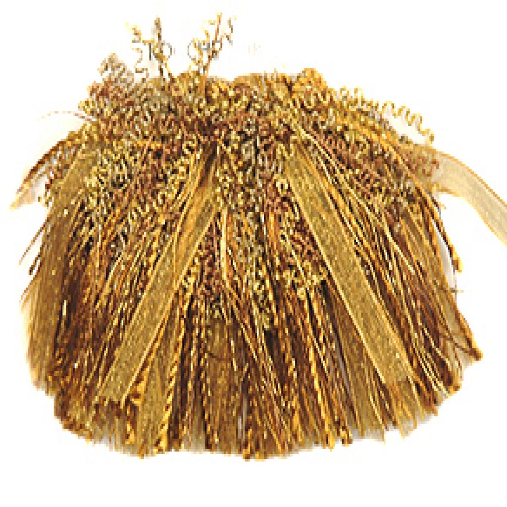 T1093 CURLY ROUCHE – SANDY SHORES