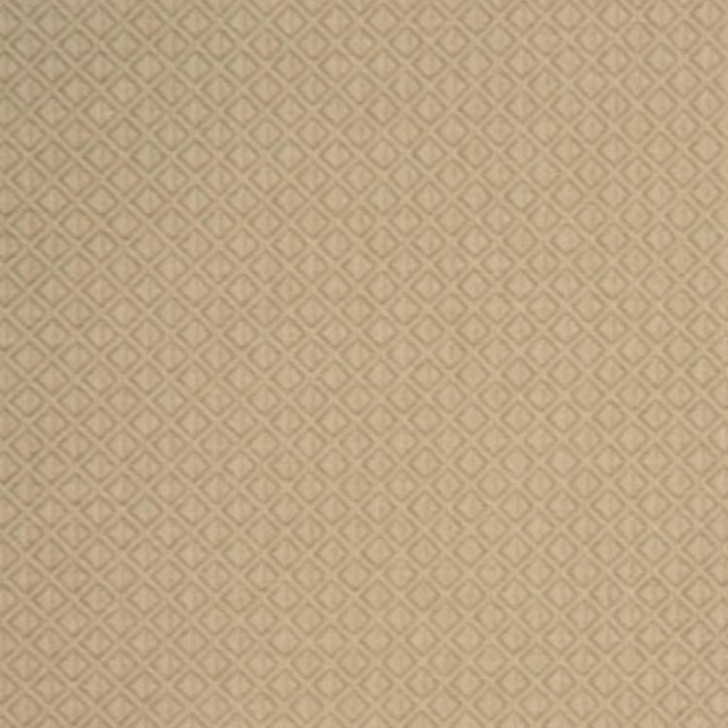 U55 – 3 - RM Coco Fabric