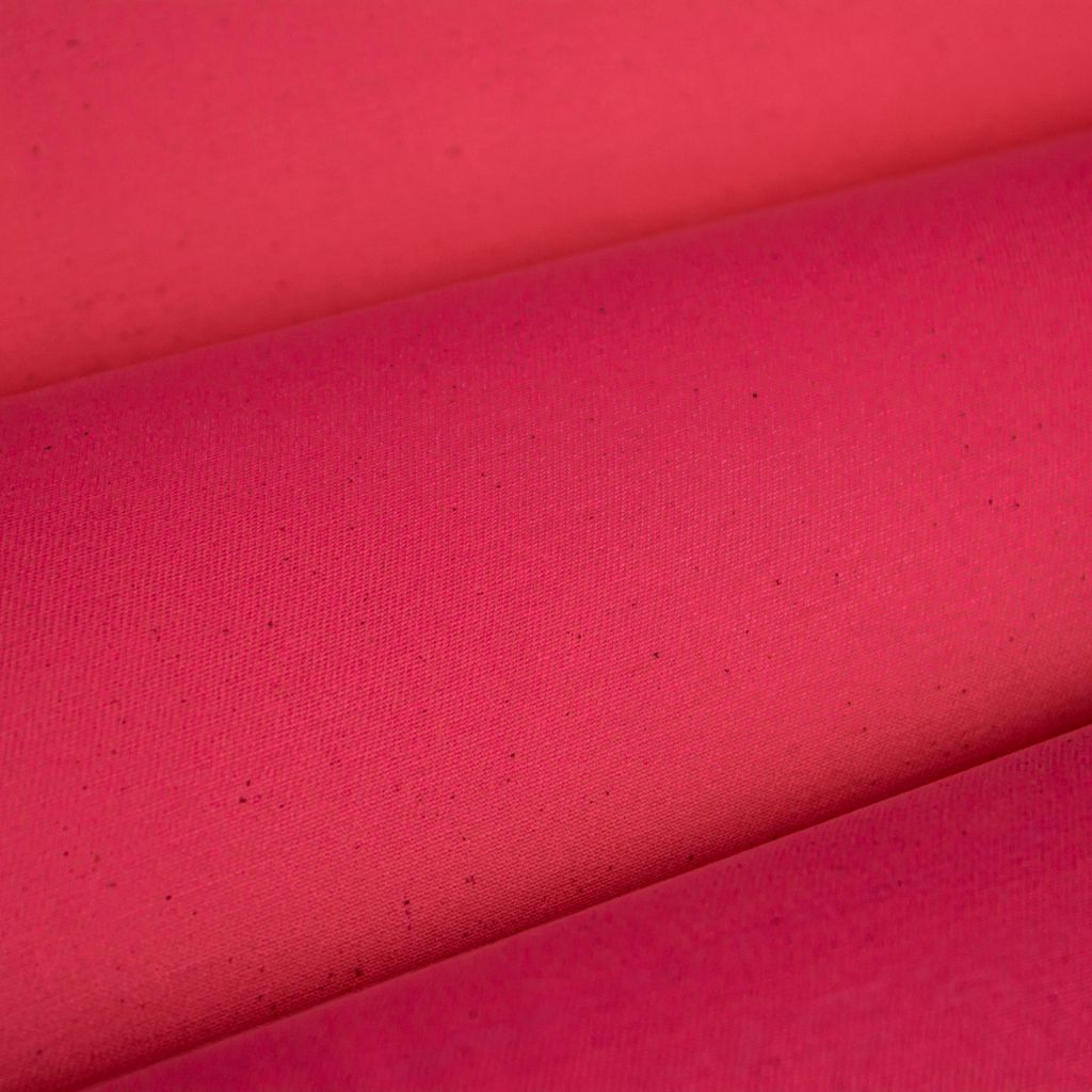 Expedition – Begonia