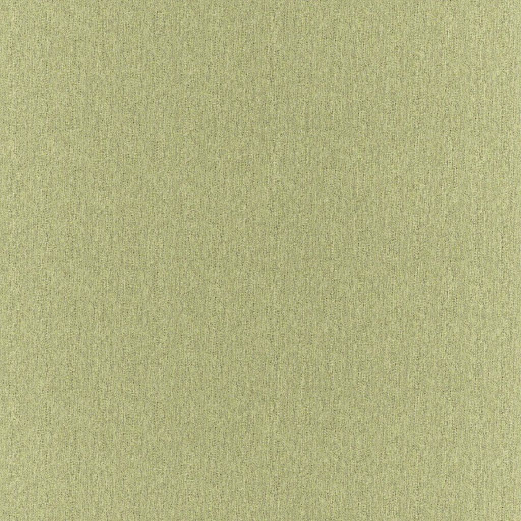 Clubhouse â Apple - RM Coco Fabric