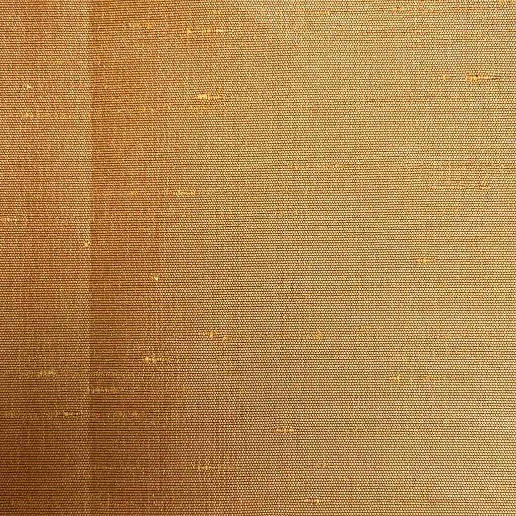 CARINA – MUSTARD