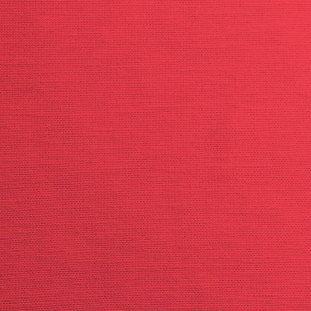 Hatteras – Begonia