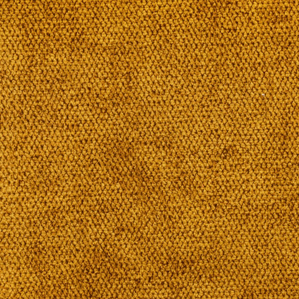 Ascot – Goldenrod