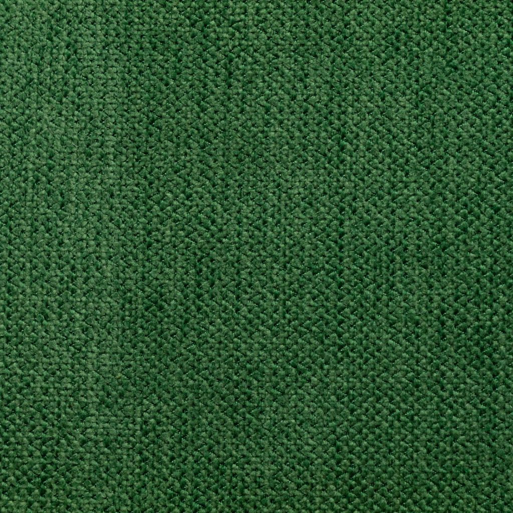Wellington – Evergreen