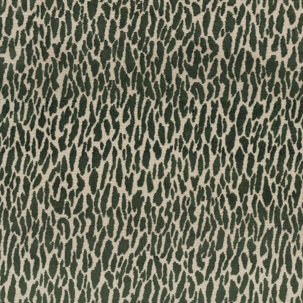 Wild Thing â Evergreen
