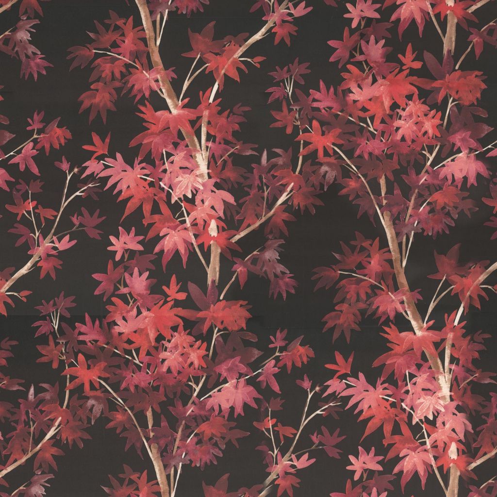 Forestridge â Coral