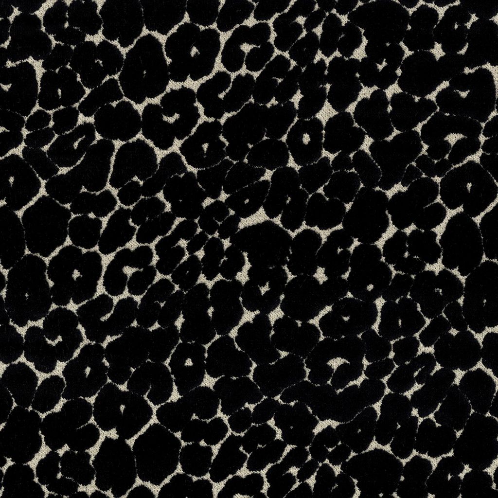 Roar â Onyx