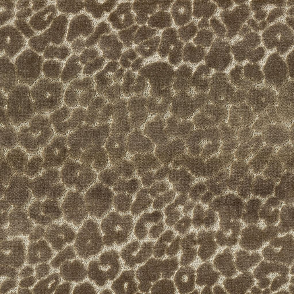 Roar â Toffee
