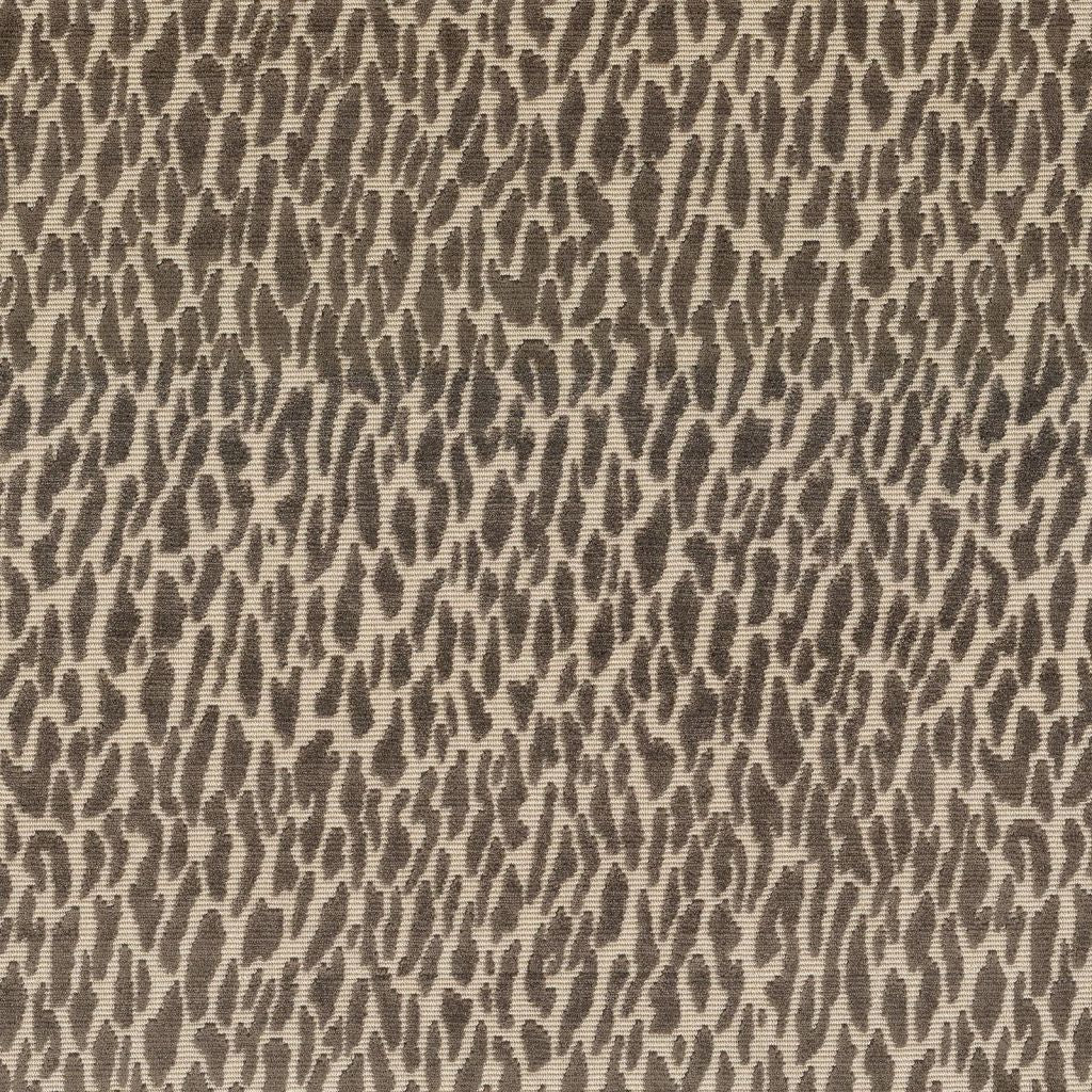 Wild Thing – Truffle