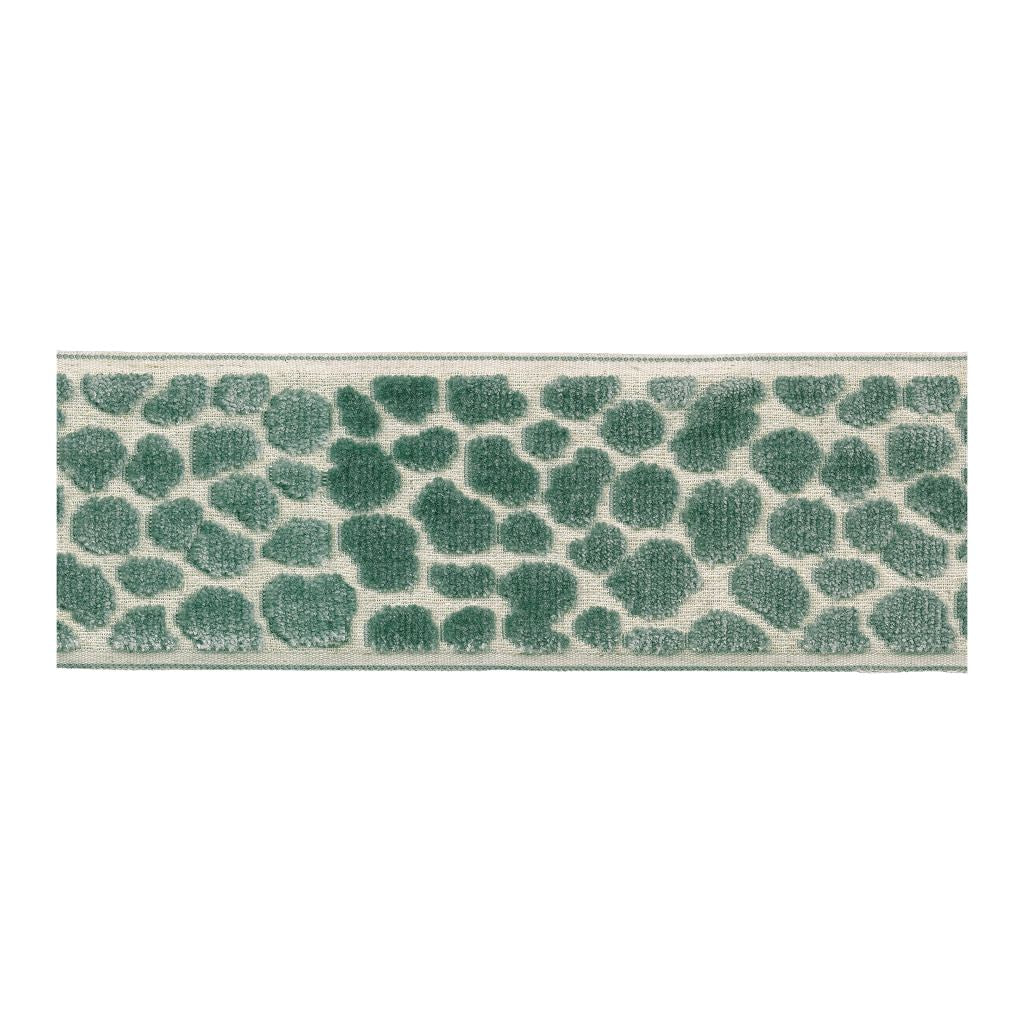 BD135 Border 3.5" â Aquamarine