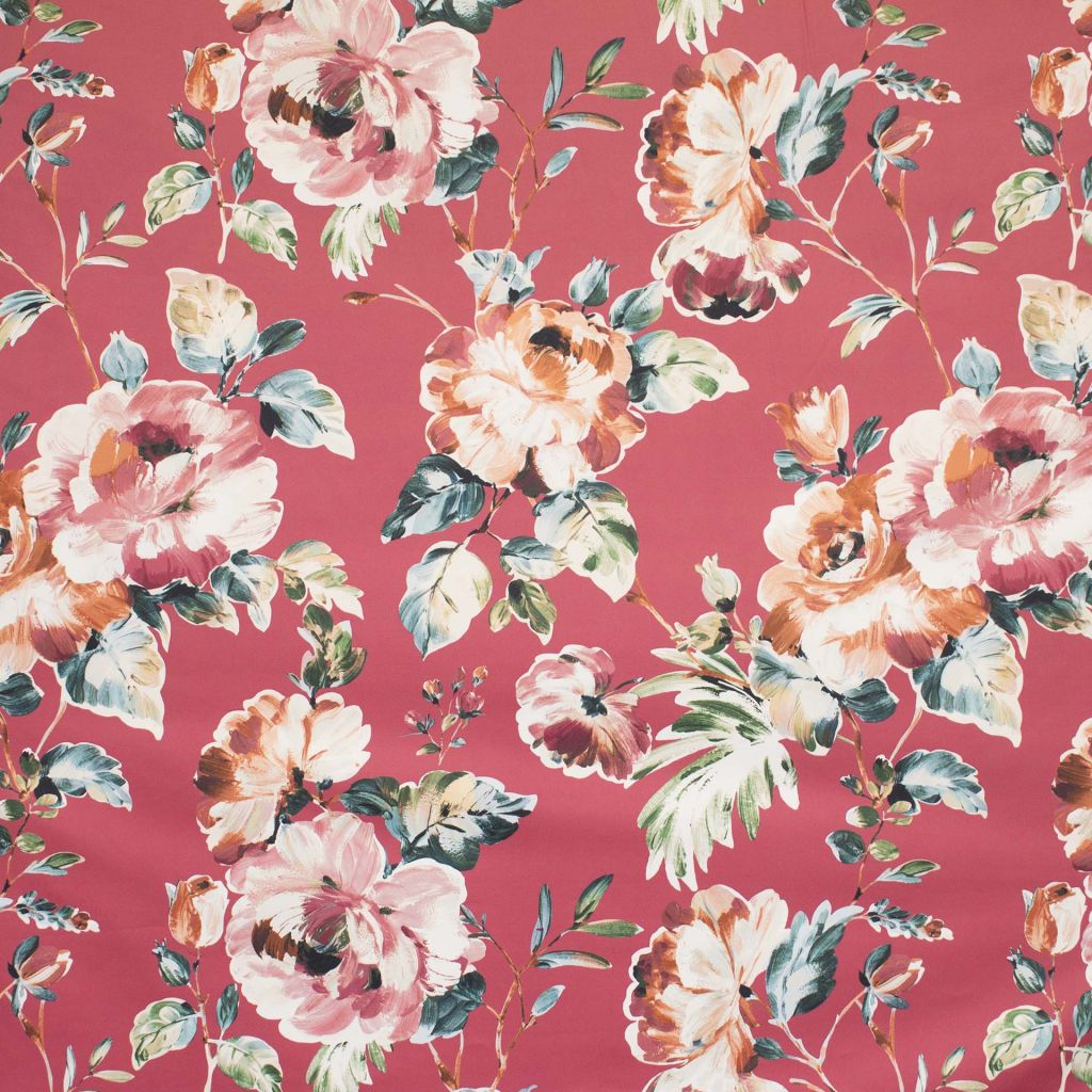 Floribunda â Fuchsia