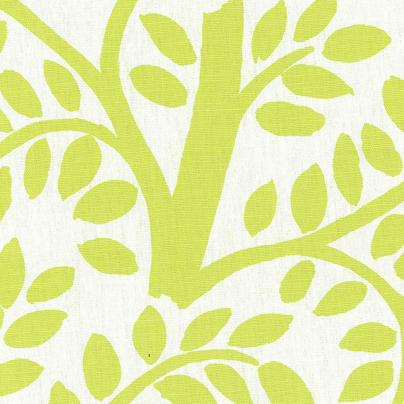 TEMPLE-GARDEN-APPLETINI-SCHUMACHER-173580