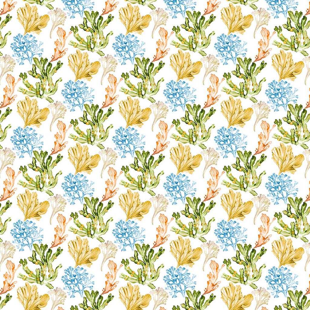 Coral Cay – Grotto