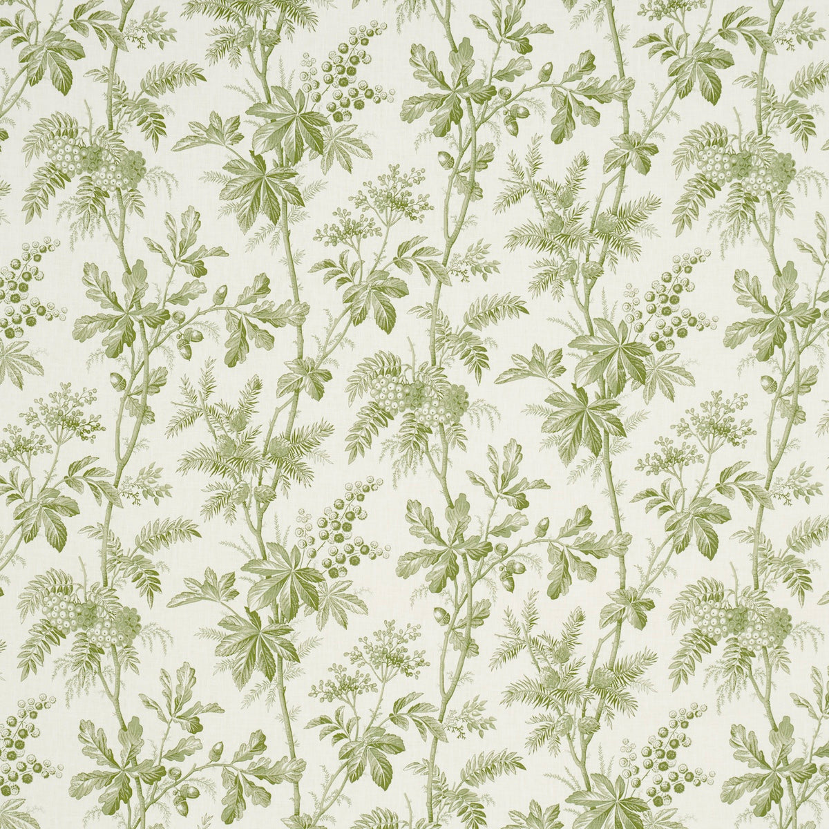 BRANTWOOD-VINE-LEAF-SCHUMACHER-174114