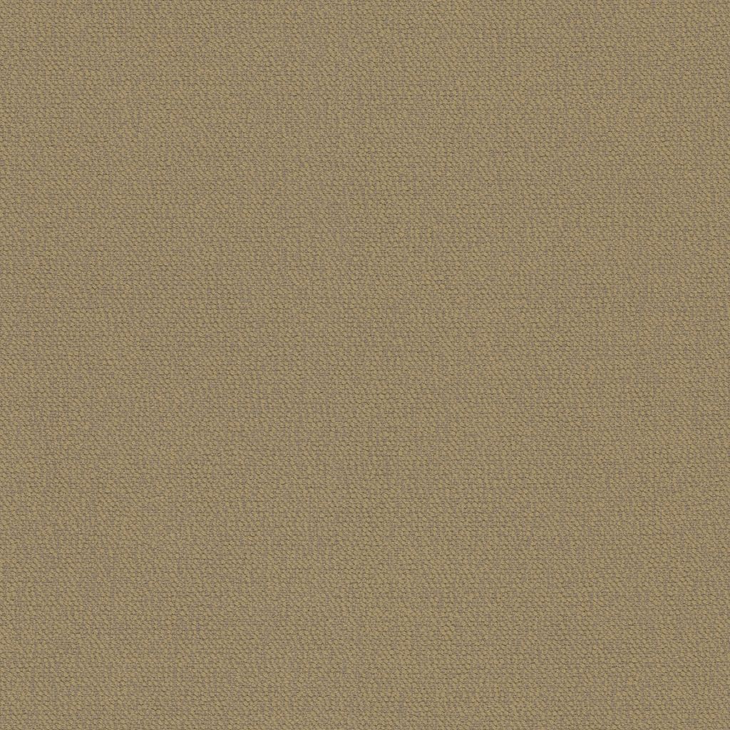 Sardinia Γ’ΒΒ Sea Oat