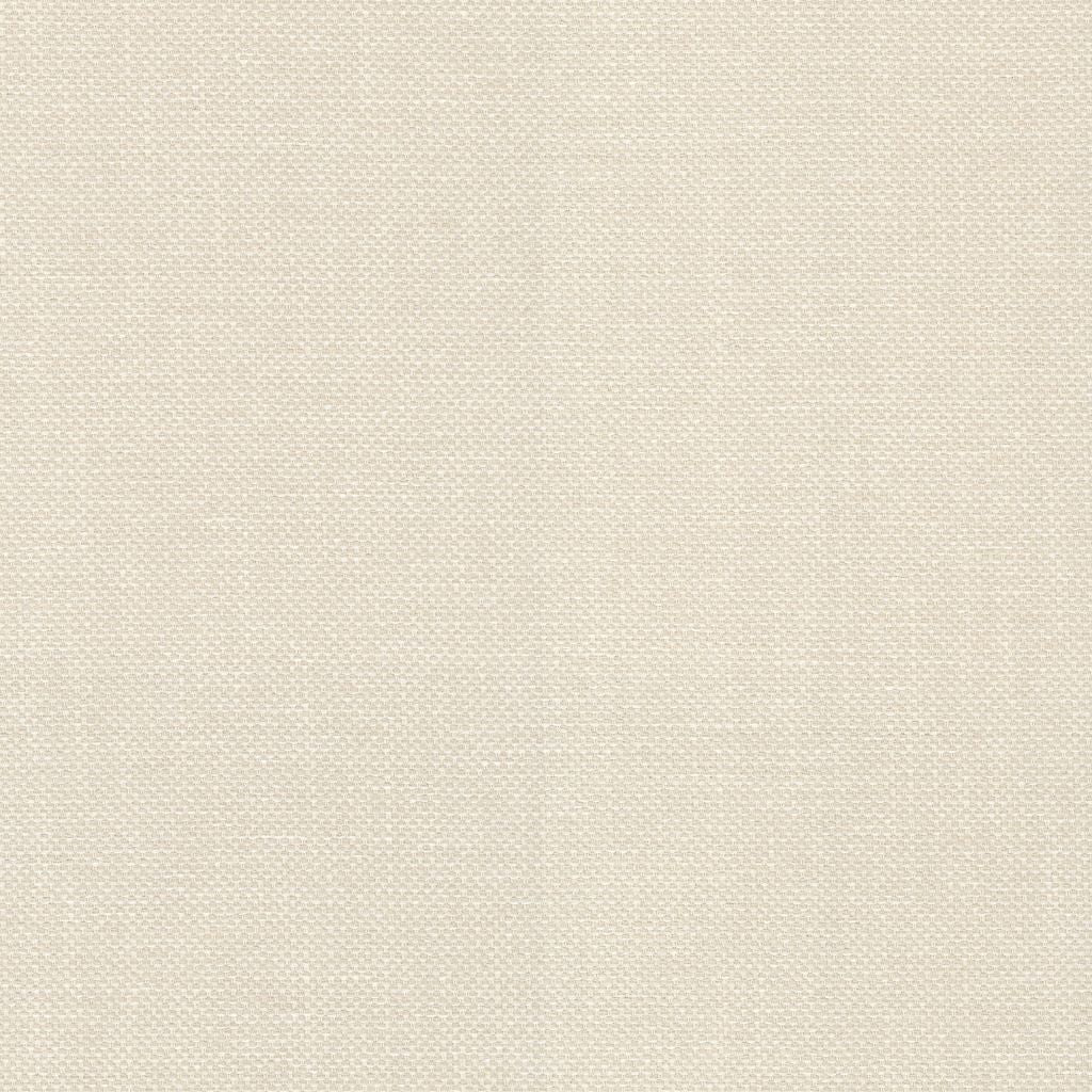 Dominica – Sand Dollar