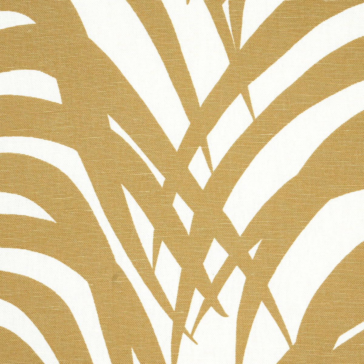 ZEBRA-PALM-KHAKI-SCHUMACHER-174870