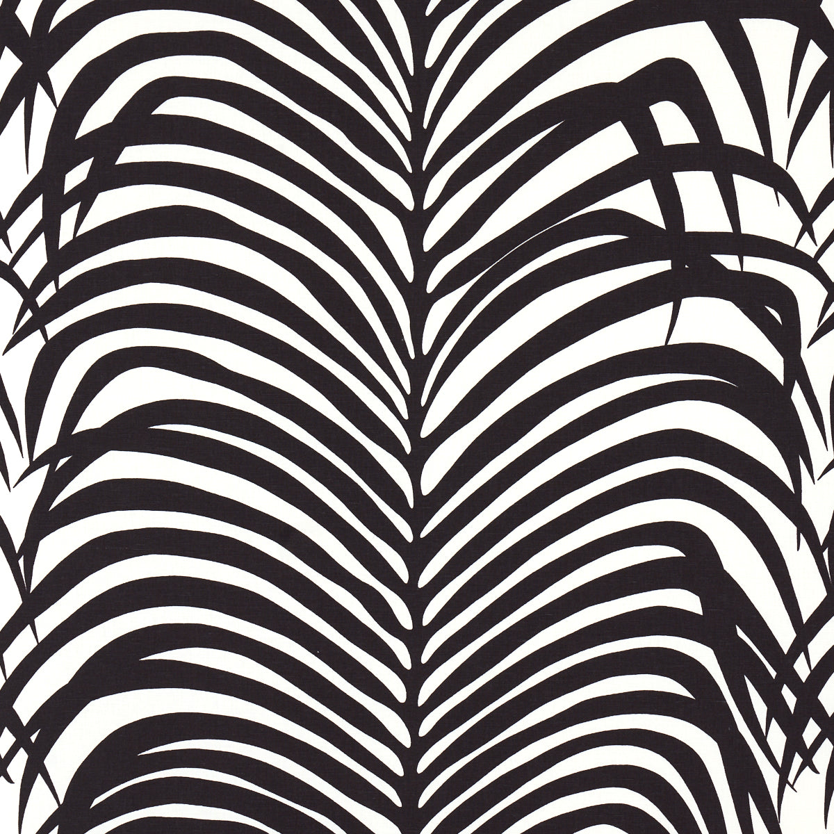 ZEBRA-PALM-EBONY-SCHUMACHER-174872