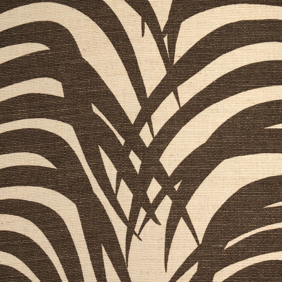 ZEBRA-PALM-JAVA-SCHUMACHER-174970