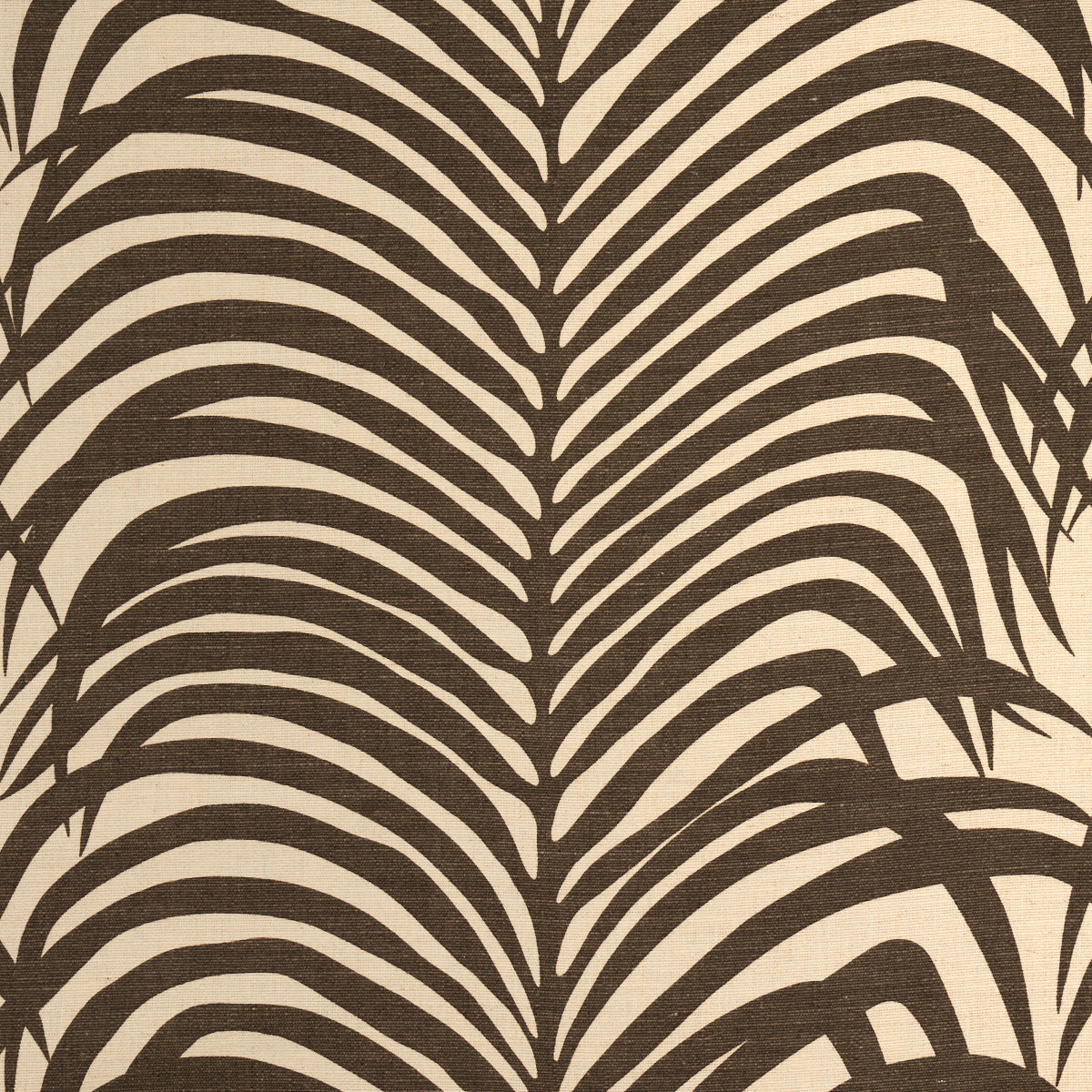 ZEBRA-PALM-JAVA-SCHUMACHER-174970