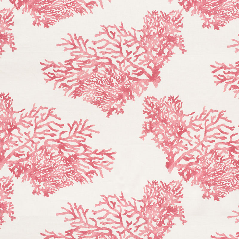 GREAT-BARRIER-REEF-PINK-SCHUMACHER-175365