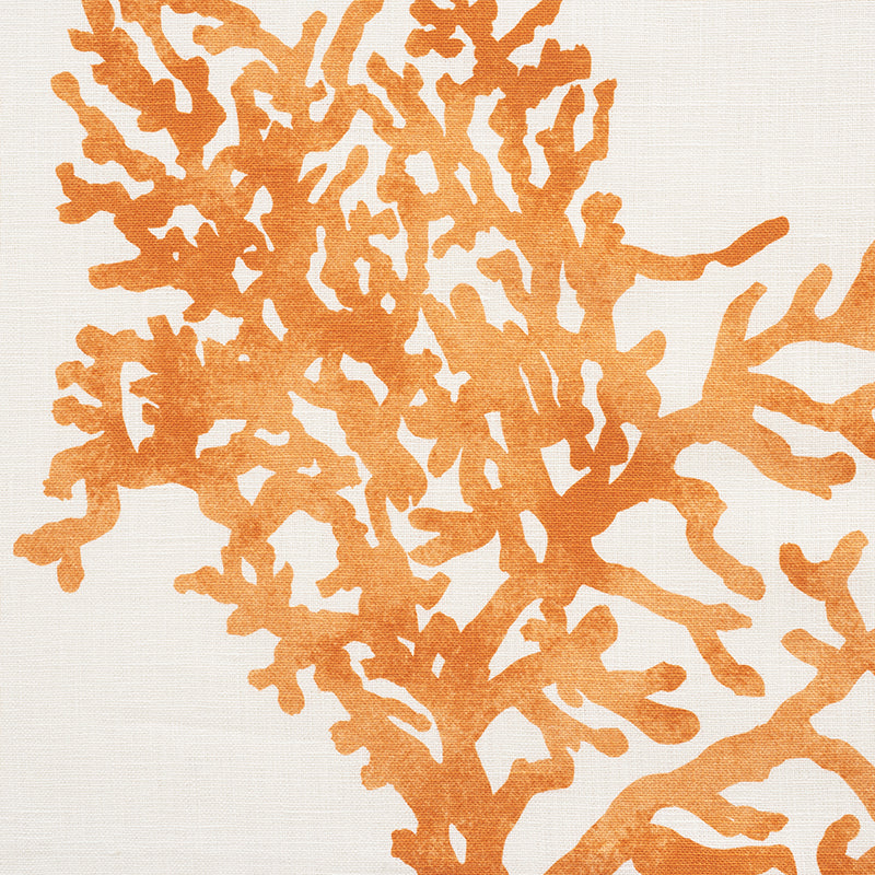 GREAT-BARRIER-REEF-ORANGE-SCHUMACHER-175366